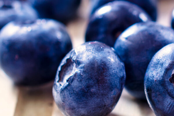 Michigan Blueberries - order by 7-15 - Image 3